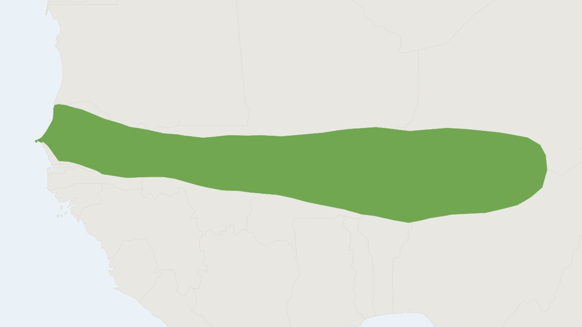 Range map of the Dainty Fat Mouse (Steatomys cuppedius)