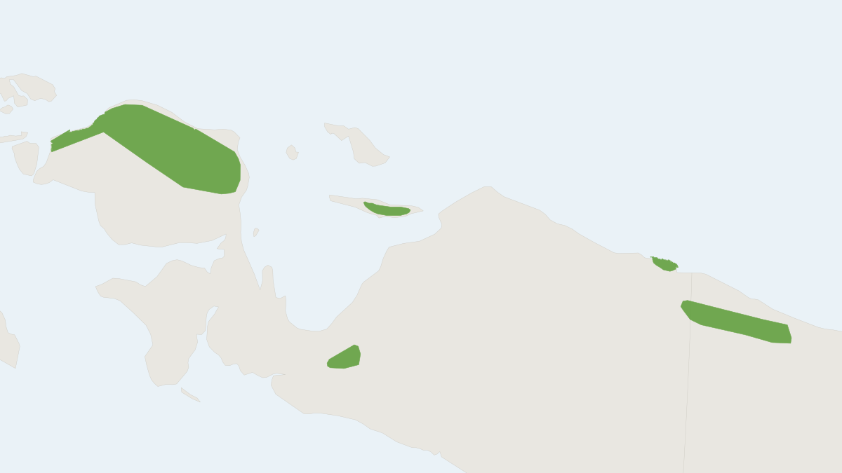 Range map of the D'Albertis's Ringtail (Pseudochirops albertisii)