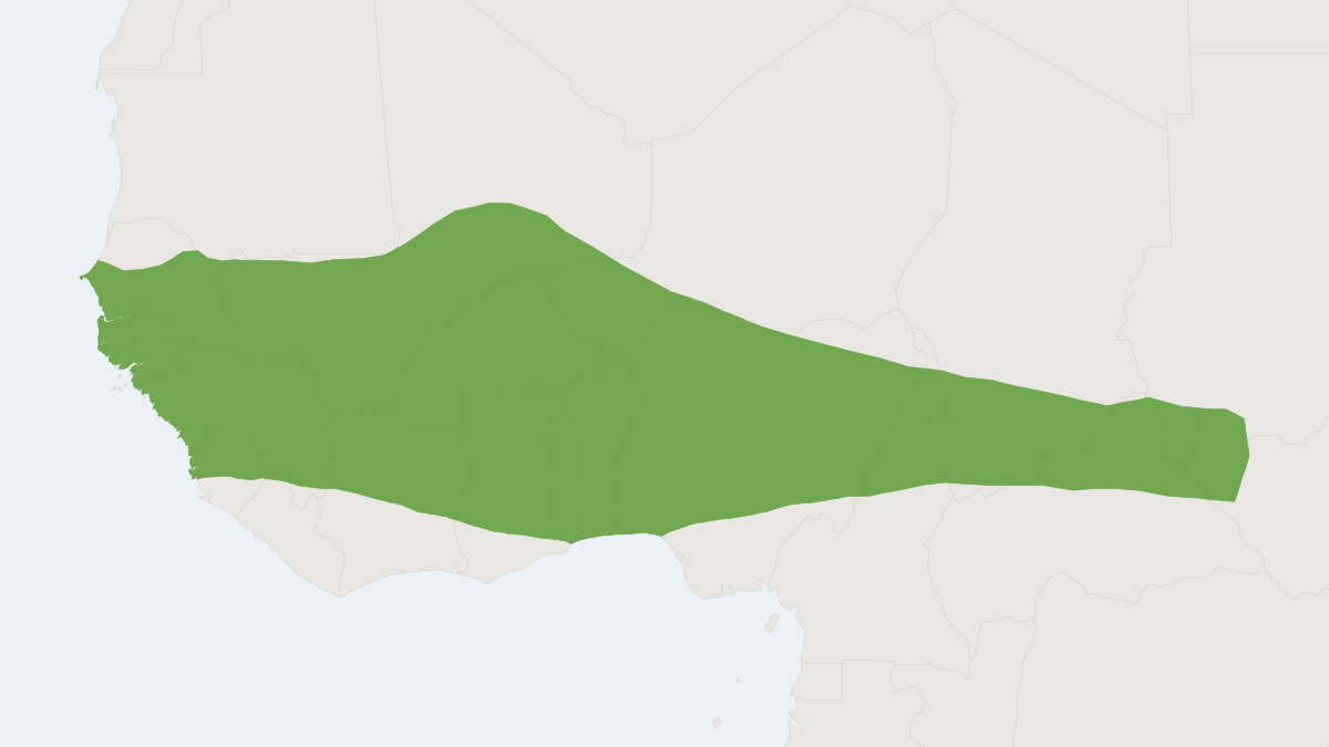 Range map of the Dalton's Mouse (Praomys daltoni)