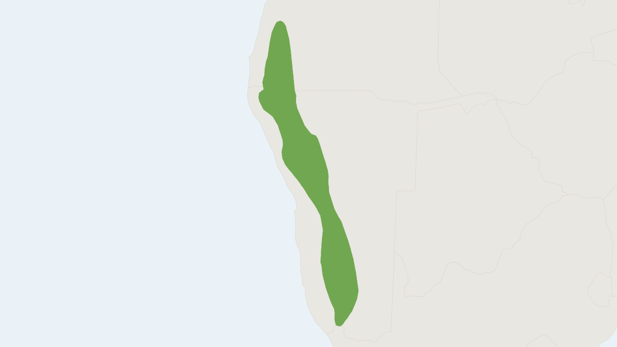Range map of the Damara Ground Squirrel (Geosciurus princeps)