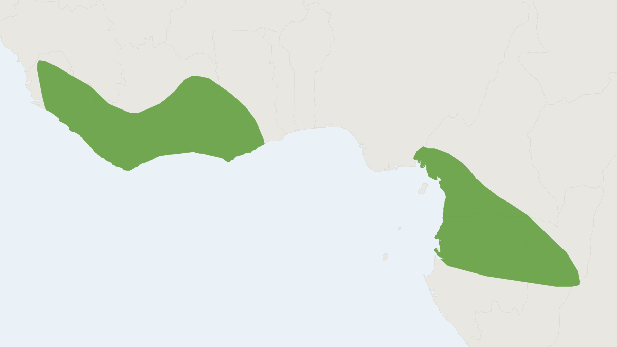 Range map of the Dark-brown Serotine (Pseudoromicia brunnea)