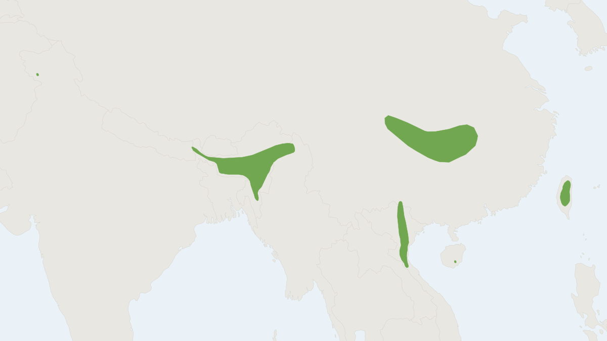 Range map of the Dark Flat-headed Woolly Bat (Kerivoula furva)