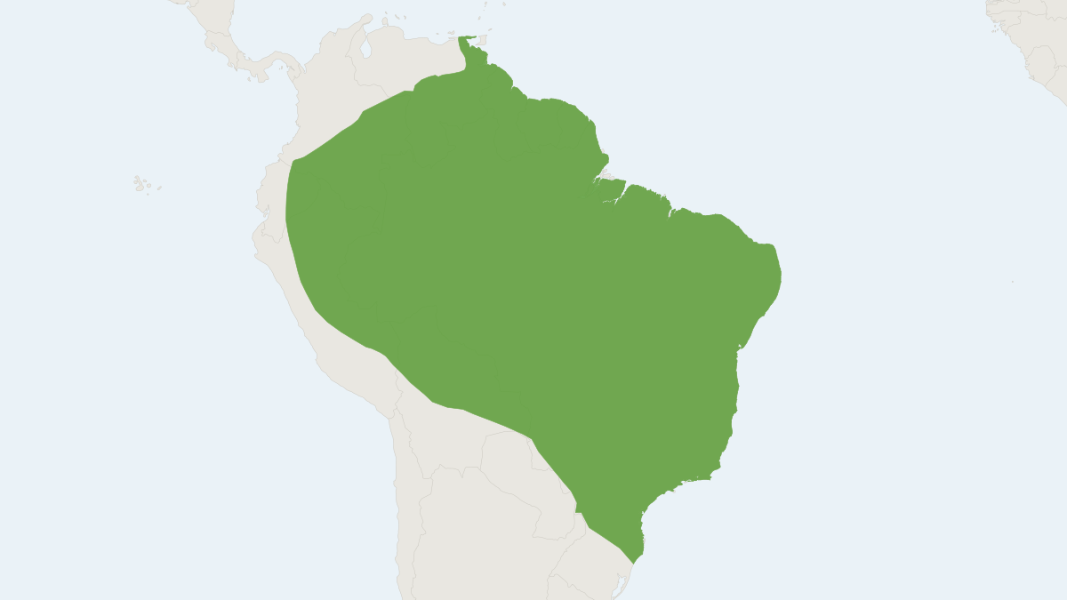 Range map of the Dark Fruit-eating Bat (Artibeus obscurus) covering Bolivia, Brazil and Colombia