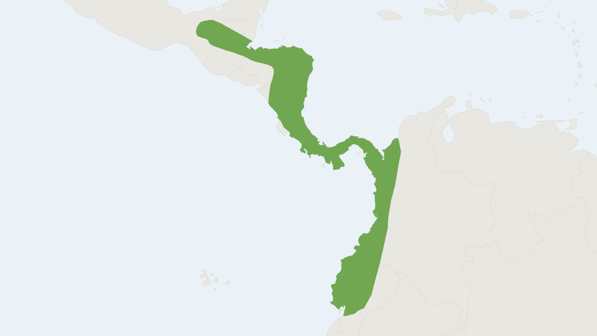 Range map of the Dark Long-tongued Bat (Lichonycteris obscura)