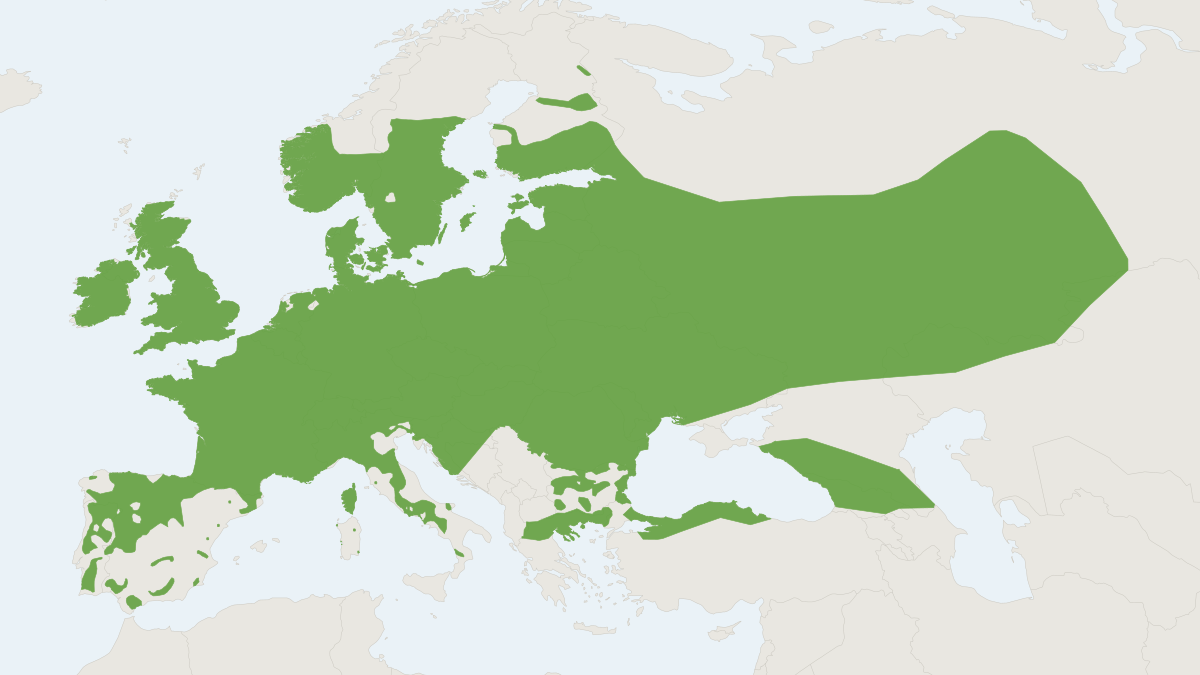 Range map of the Daubenton's Bat (Myotis daubentonii)
