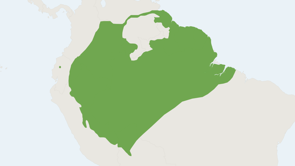 Range map of the Davies's Big-eared Bat (Glyphonycteris daviesi)
