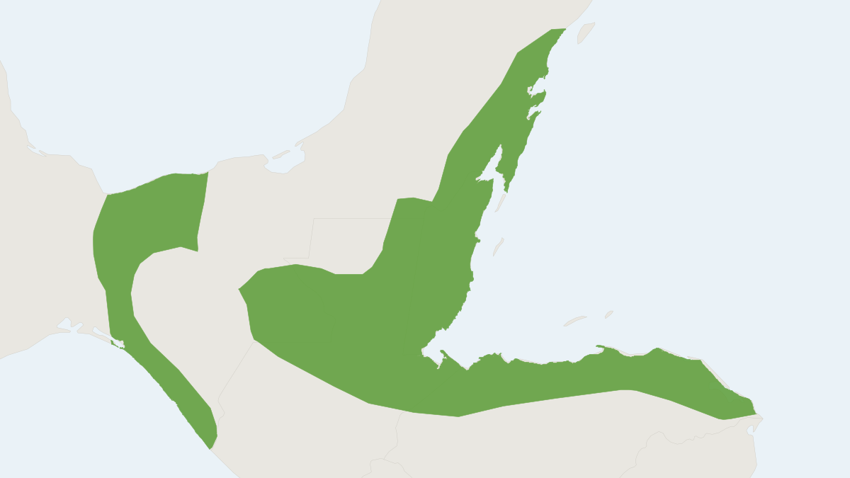 Range map of the Davis's Round-eared Bat (Lophostoma evotis)
