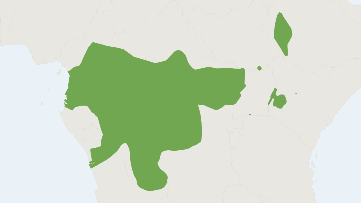 Range map of the De Brazza's Monkey (Cercopithecus neglectus) covering Cameroon, Central African Republic and Democratic Repu