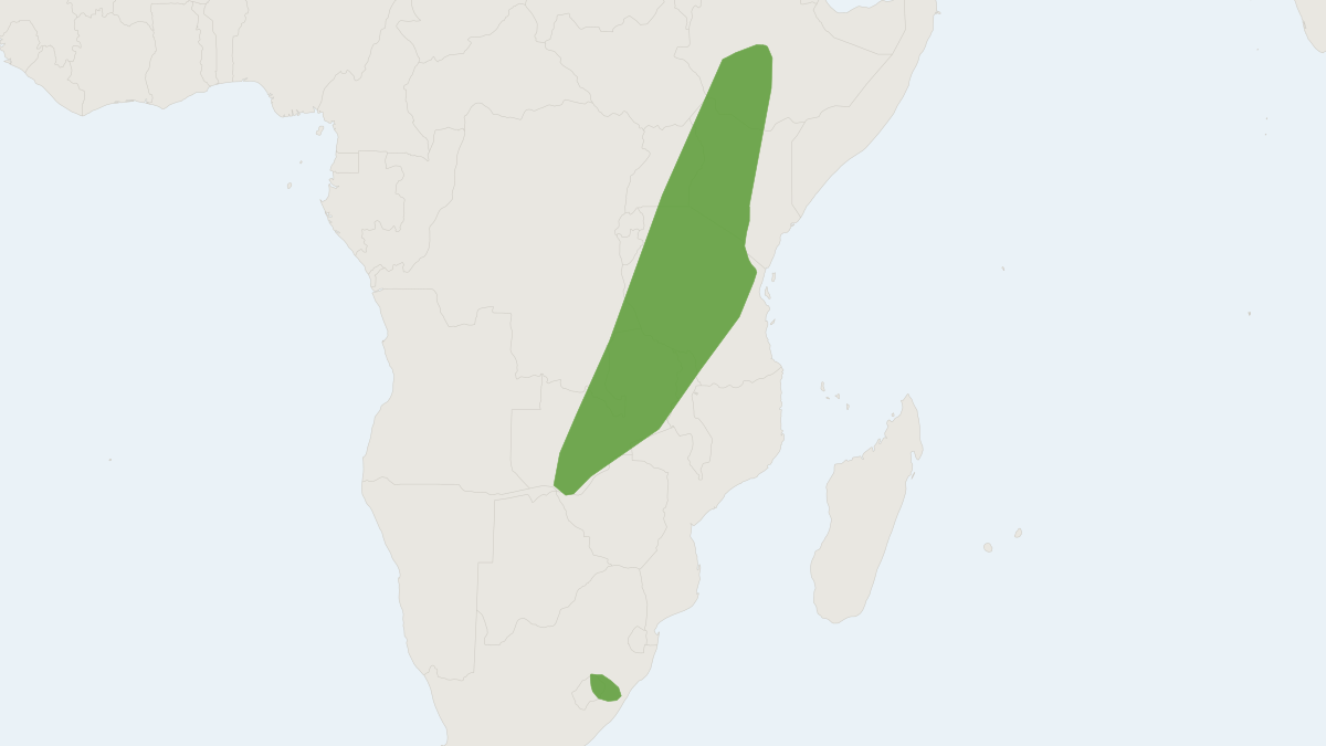 Range map of the De Winton's Long-eared Serotine (Laephotis wintoni)