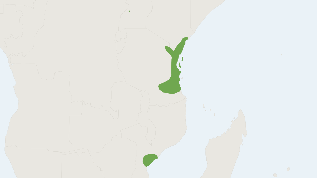 Range map of the Decken's Horseshoe Bat (Rhinolophus deckenii)