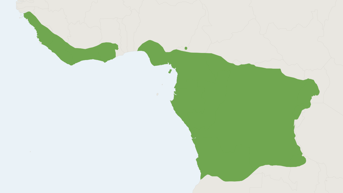 Range map of the Demidoff's Dwarf Galago (Galagoides demidoff)