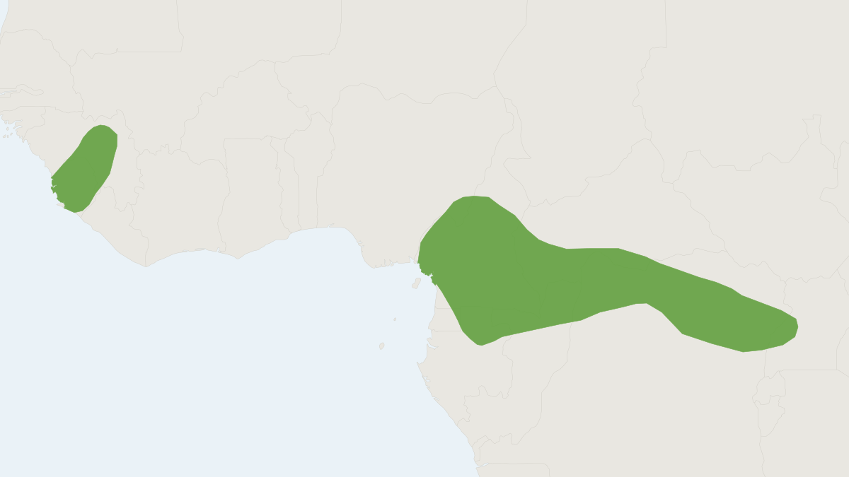 Range map of the Dent's Shrew (Crocidura denti)