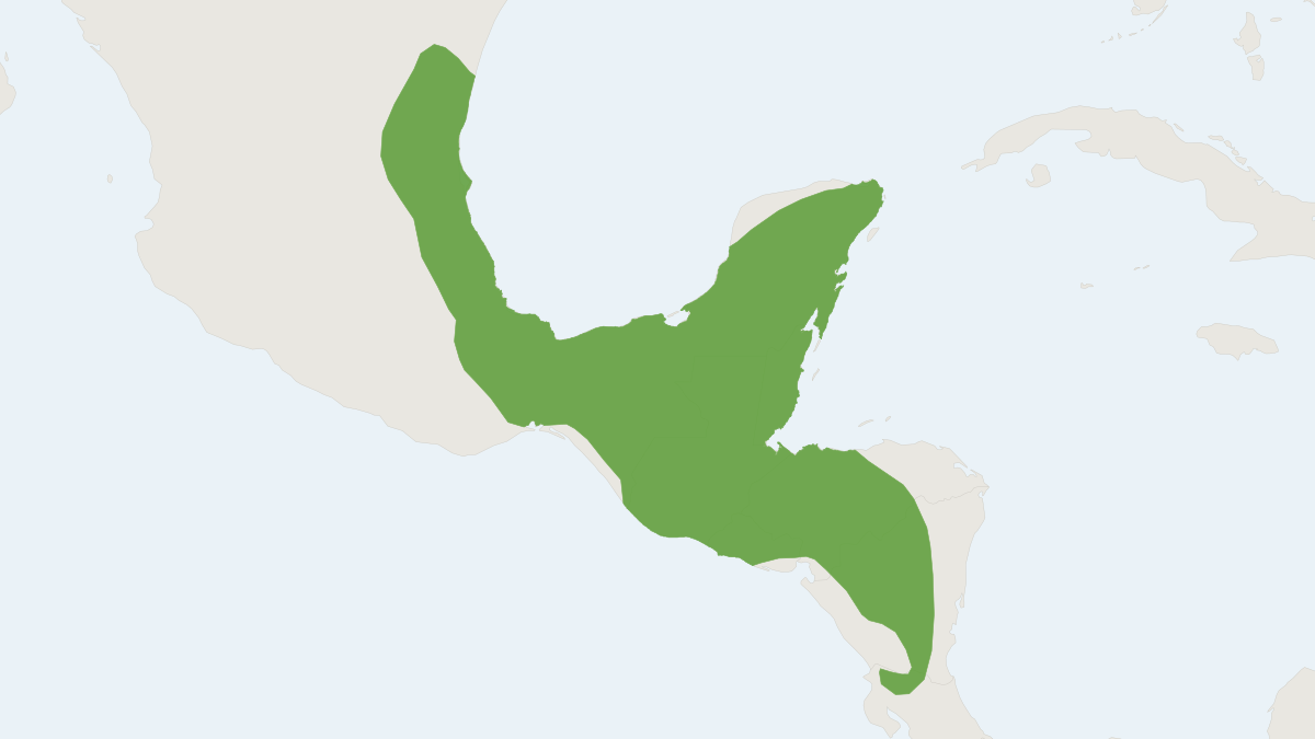 Range map of the Deppe's Squirrel (Sciurus deppei)