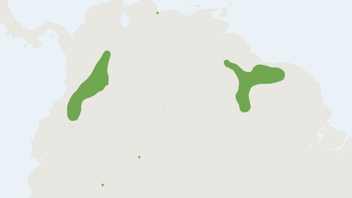 Range map of the Dermanura bogotensis (Dermanura bogotensis)