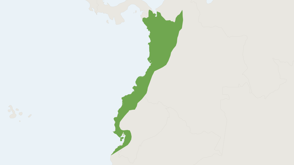 Range map of the Dermanura rava (Dermanura rava)