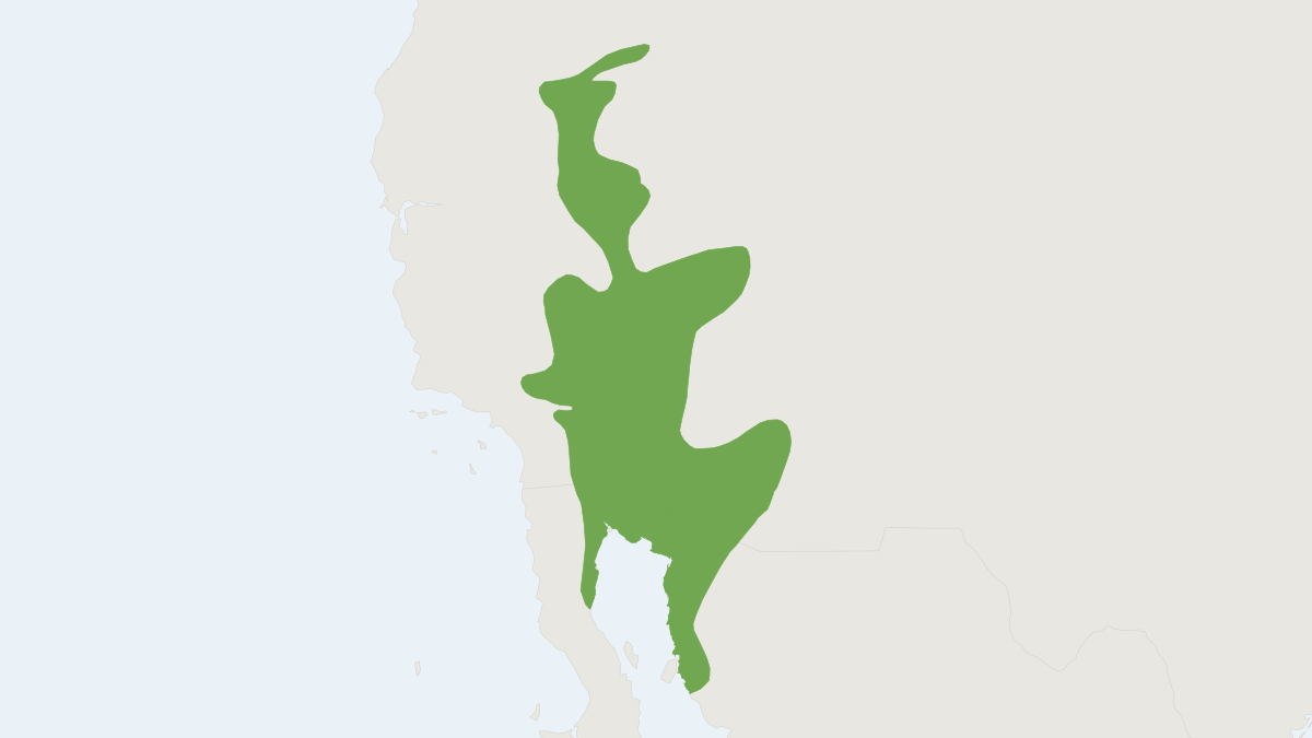 Range map of the Desert Kangaroo Rat (Dipodomys deserti)