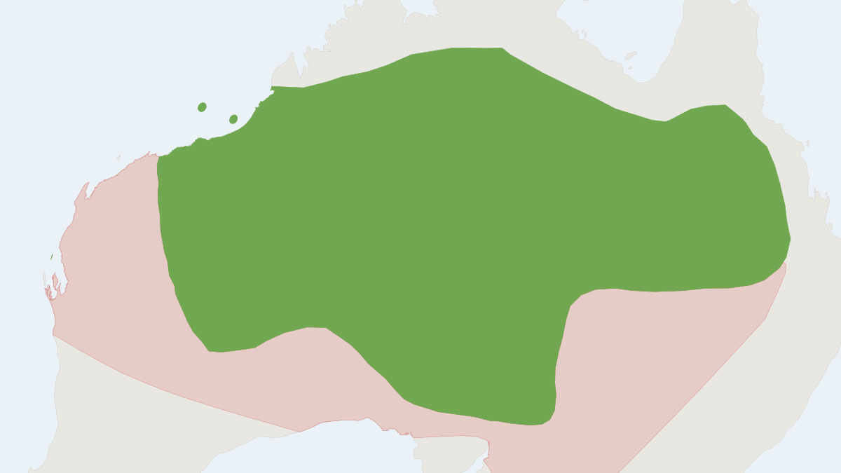 Range map of the Desert Mouse (Pseudomys desertor)
