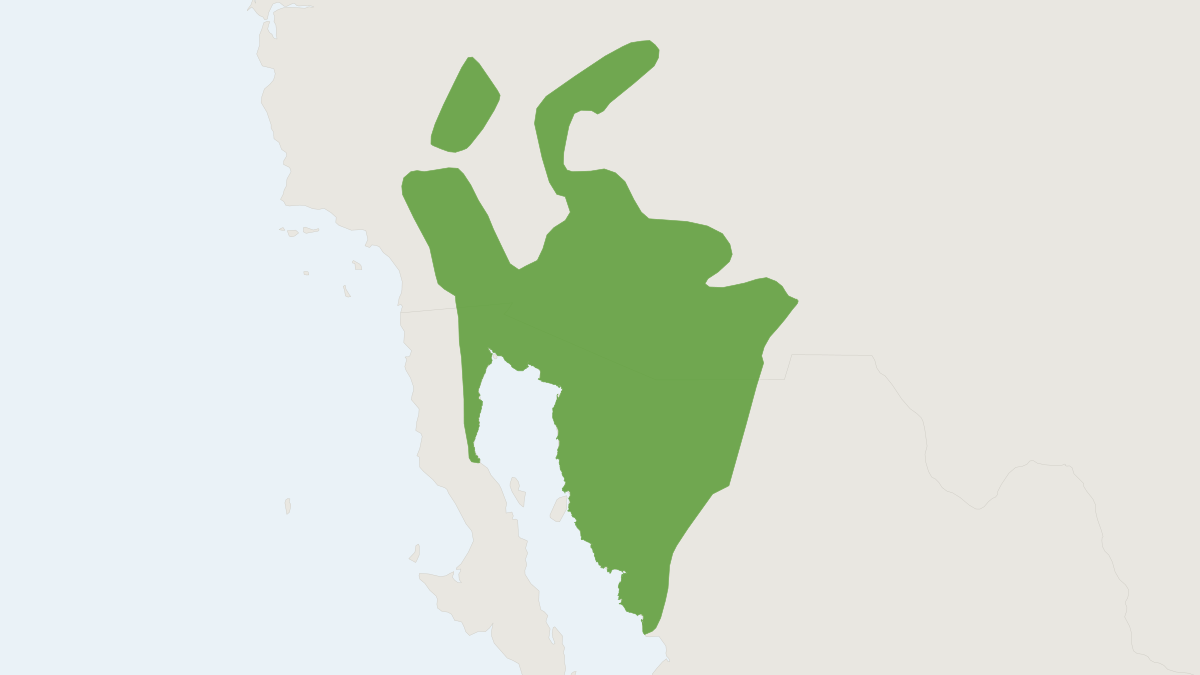 Range map of the Desert Pocket Mouse (Chaetodipus penicillatus) covering Mexico and United States