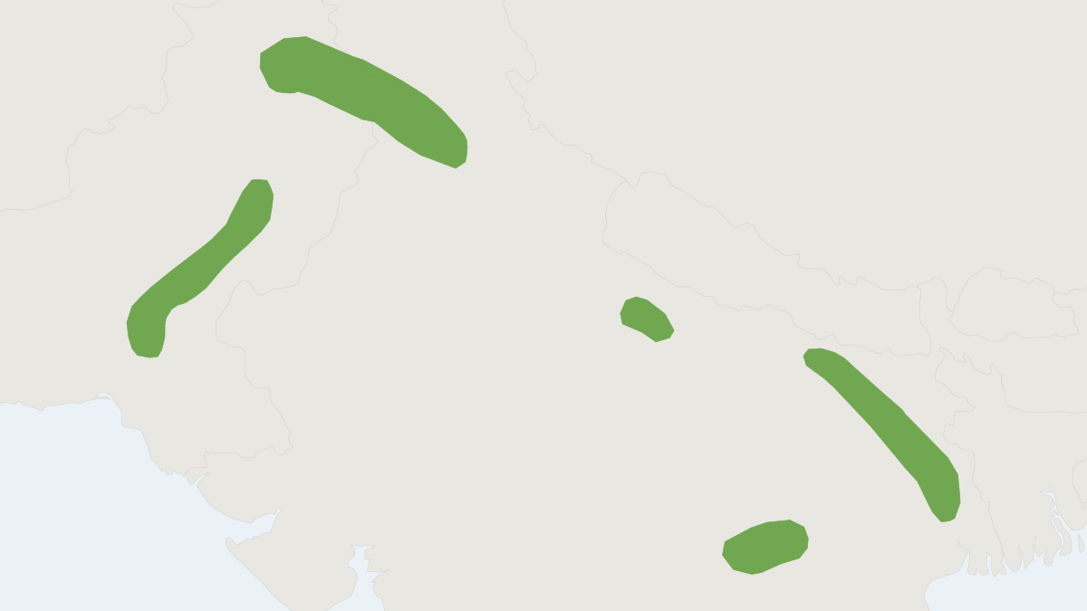 Range map of the Desert Yellow Lesser House Bat (Scotoecus pallidus)