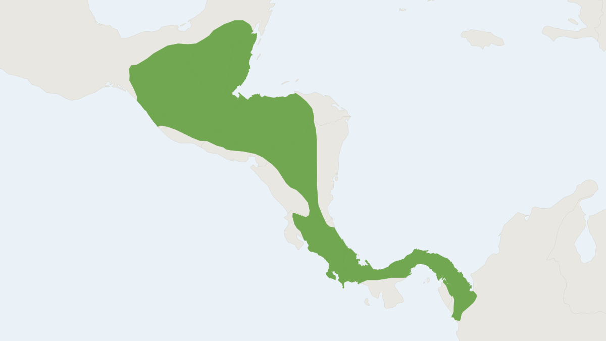 Range map of the Desmarest's Spiny Pocket Mouse (Heteromys desmarestianus)