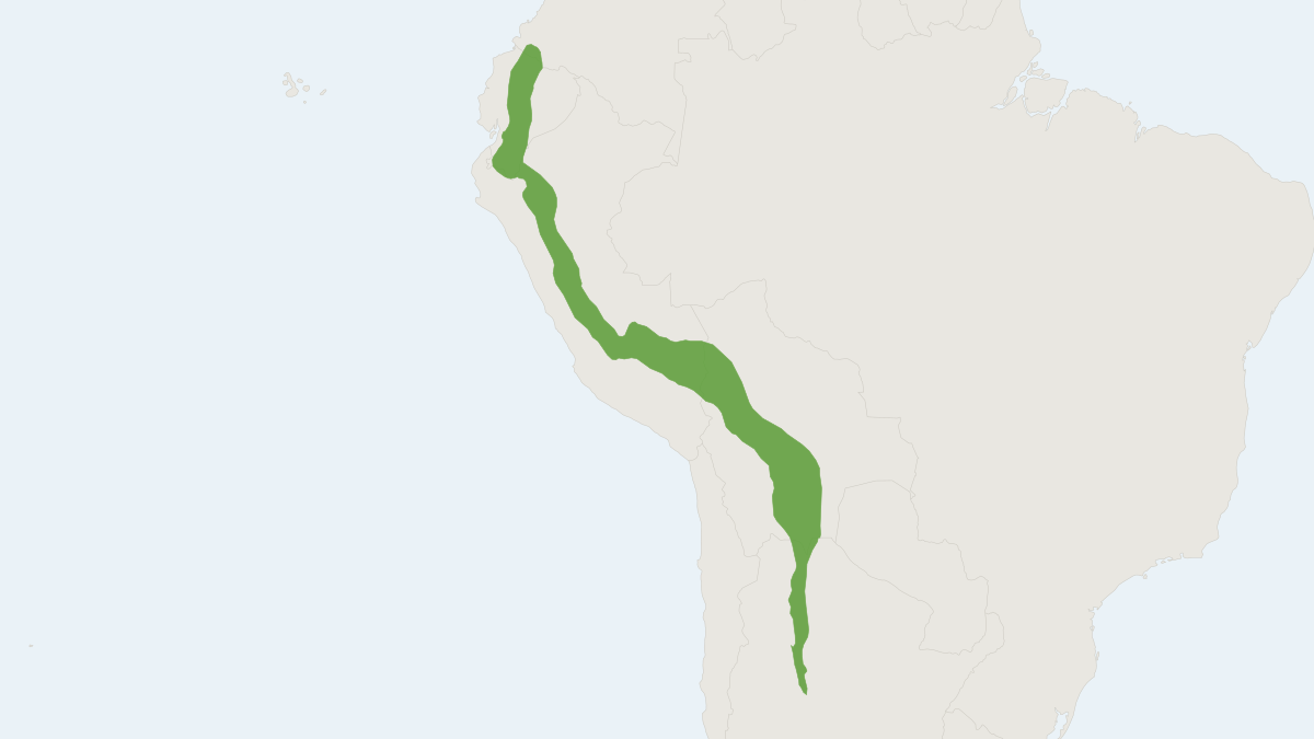 Range map of the Destructive Pygmy Rice Rat (Oligoryzomys destructor)