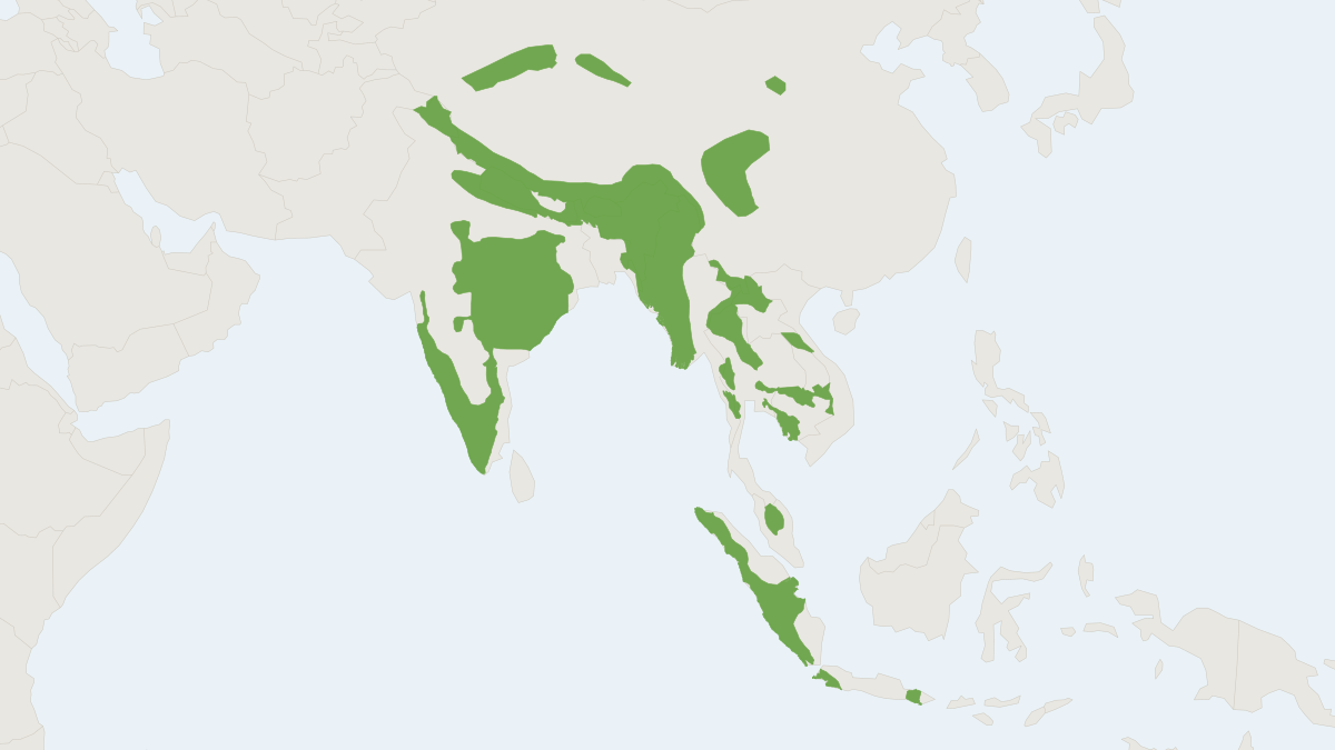 Range map of the Dhole (Cuon alpinus) covering Bhutan, Cambodia and China
