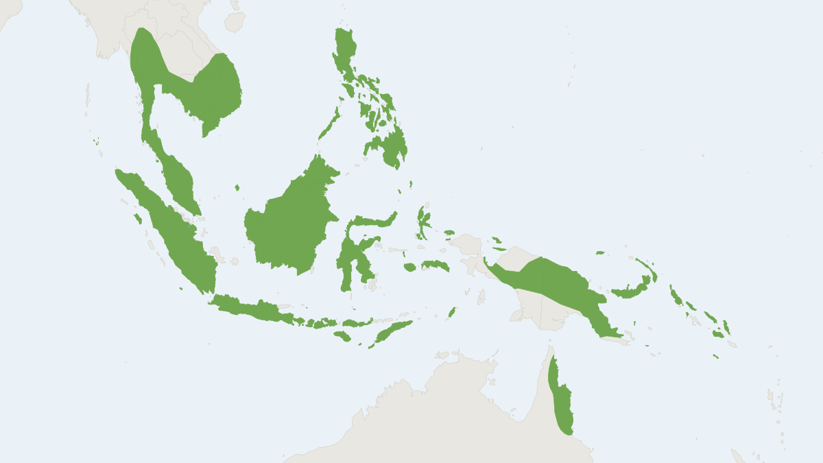 Range map of the Diadem Leaf-nosed Bat (Hipposideros diadema)