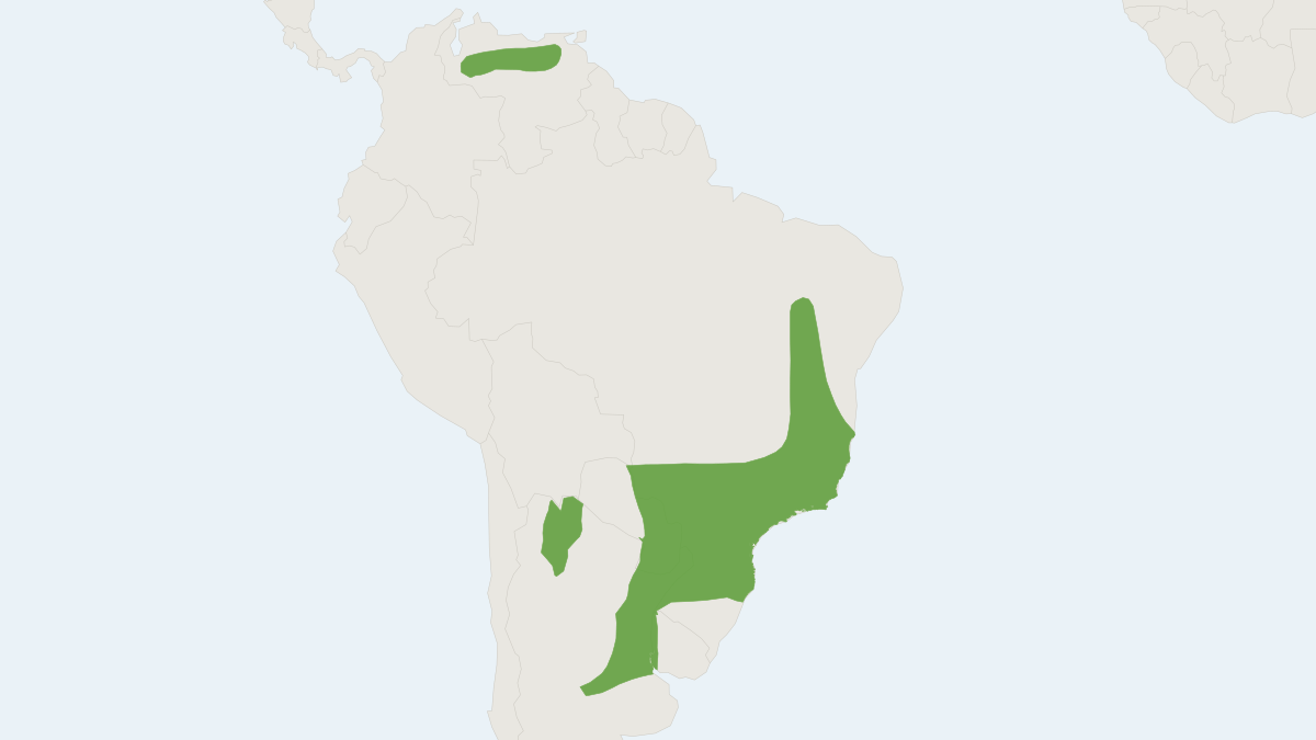Range map of the Diminutive Serotine (Neoeptesicus diminutus)