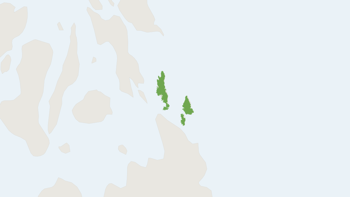 Range map of the Dinagat Gymnure (Podogymnura aureospinula)