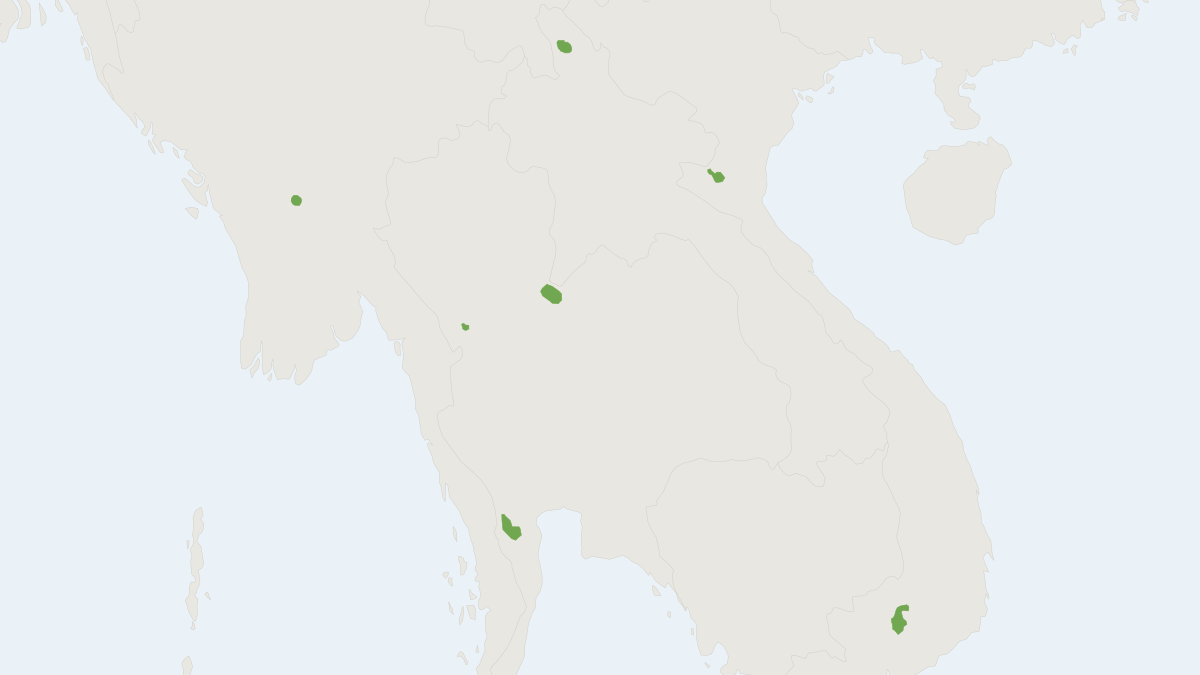 Range map of the Disk-footed Bat (Eudiscopus denticulus)