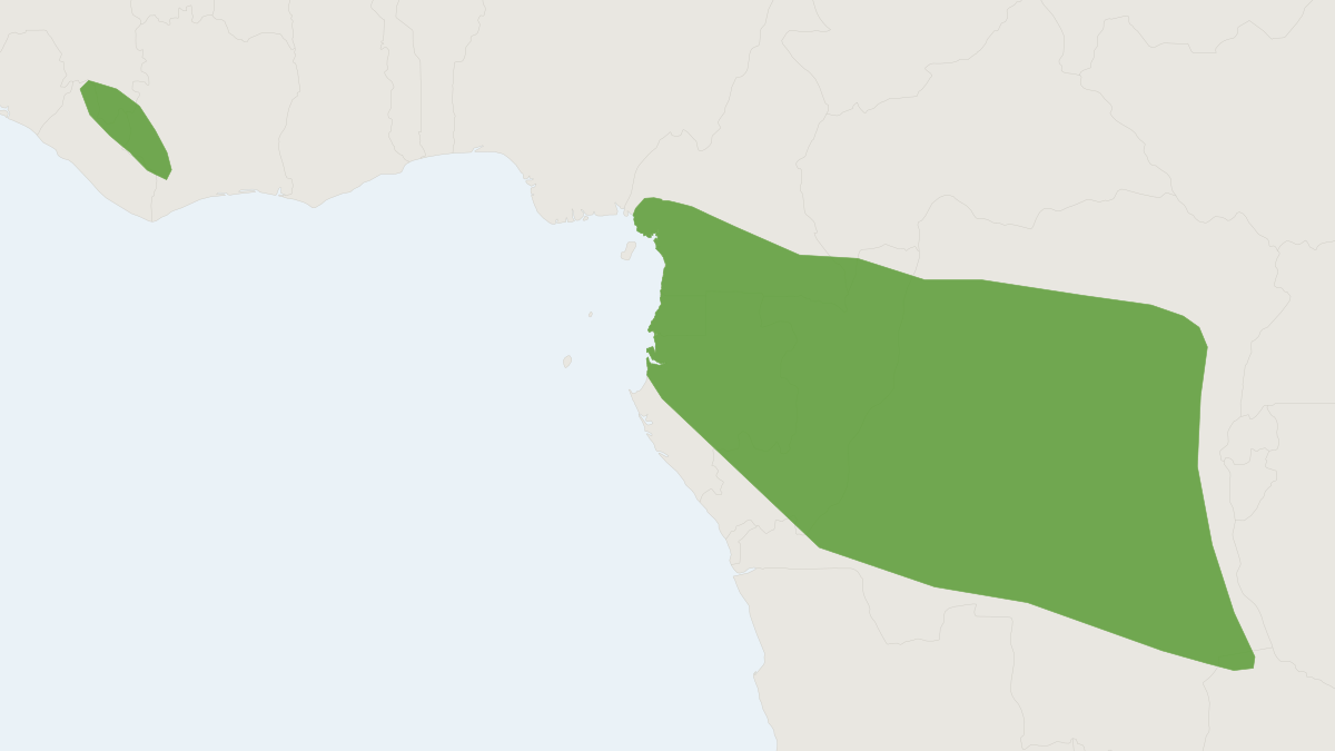 Range map of the Dja Slit-faced Bat (Nycteris major)