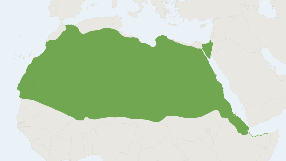 Range map of the Dorcas Gazelle (Gazella dorcas)