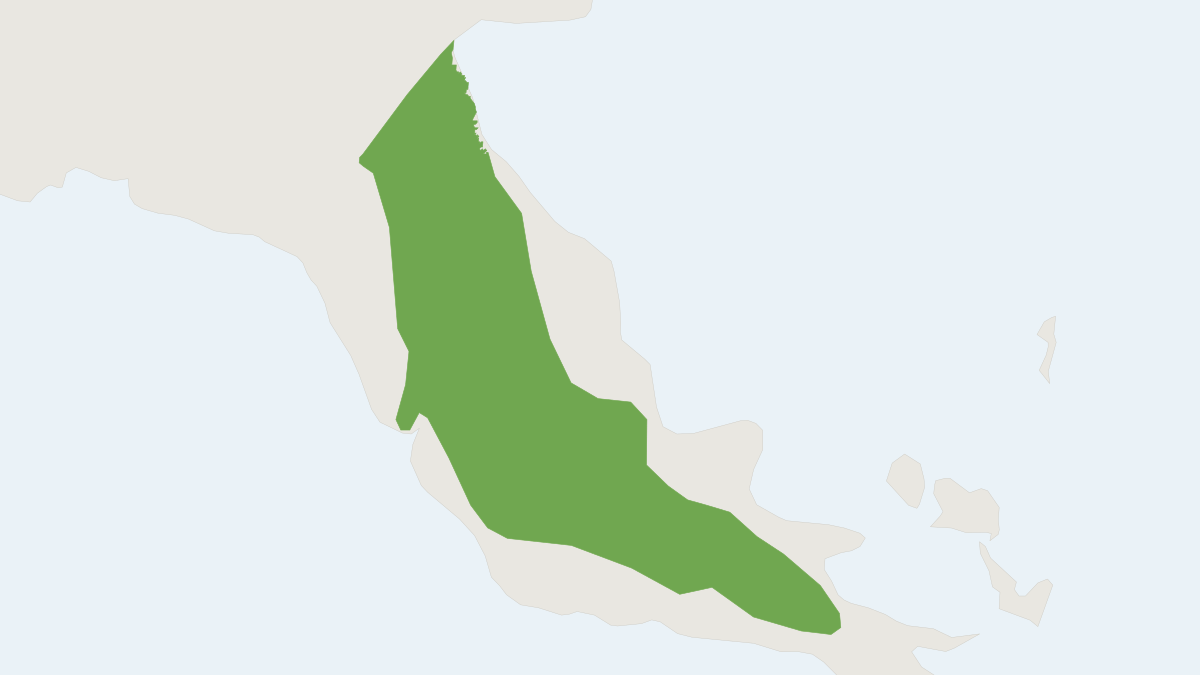 Range map of the Doria's Tree Kangaroo (Dendrolagus dorianus)