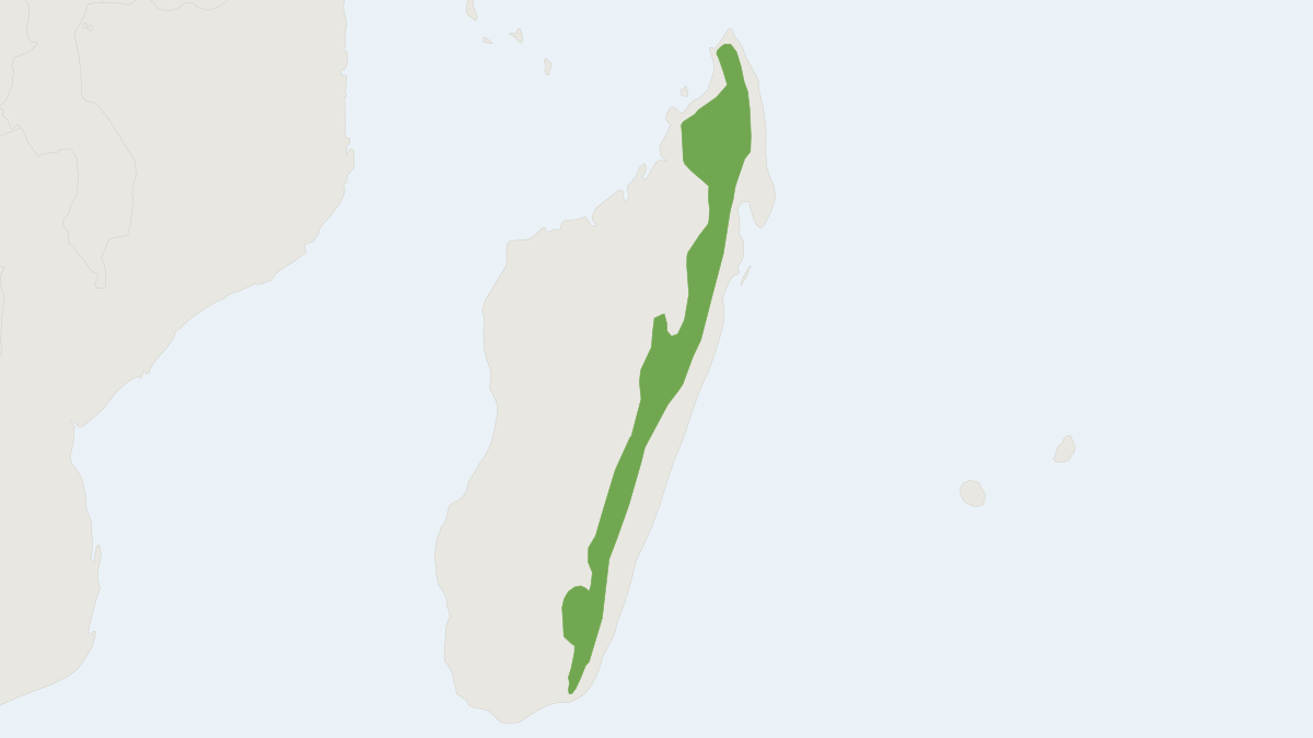 Range map of the Drouhard's Shrew Tenrec (Microgale drouhardi)
