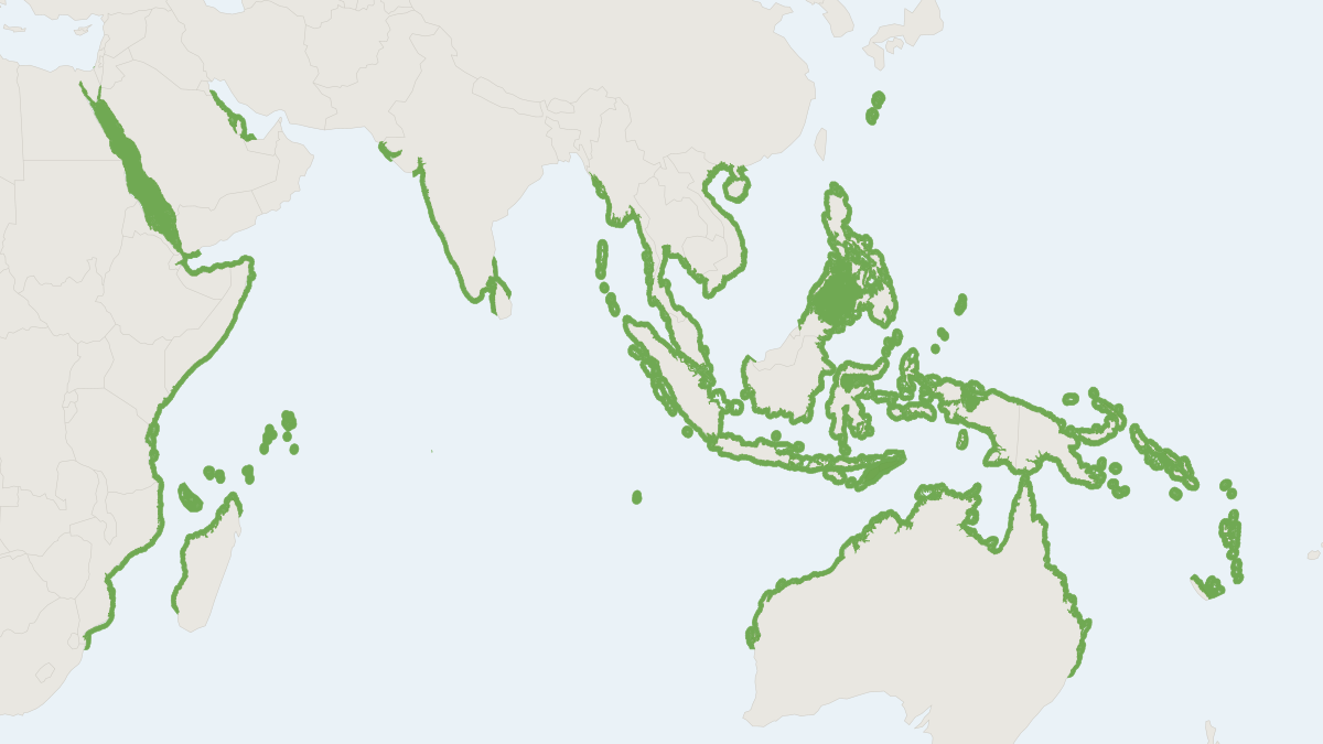 Range map of the Dugong (Dugong dugon) covering Australia, India and Indonesia