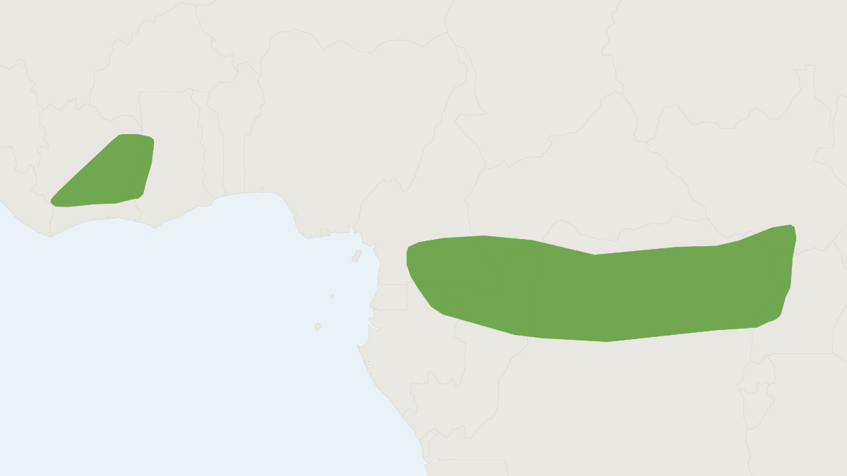 Range map of the Duke of Abruzzi's Wrinkle-lipped Bat (Mops aloysiisabaudiae) covering Cameroon, Central African Republic and