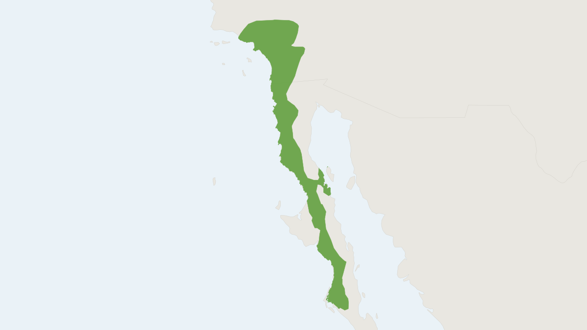 Range map of the Dulzura Kangaroo Rat (Dipodomys simulans)