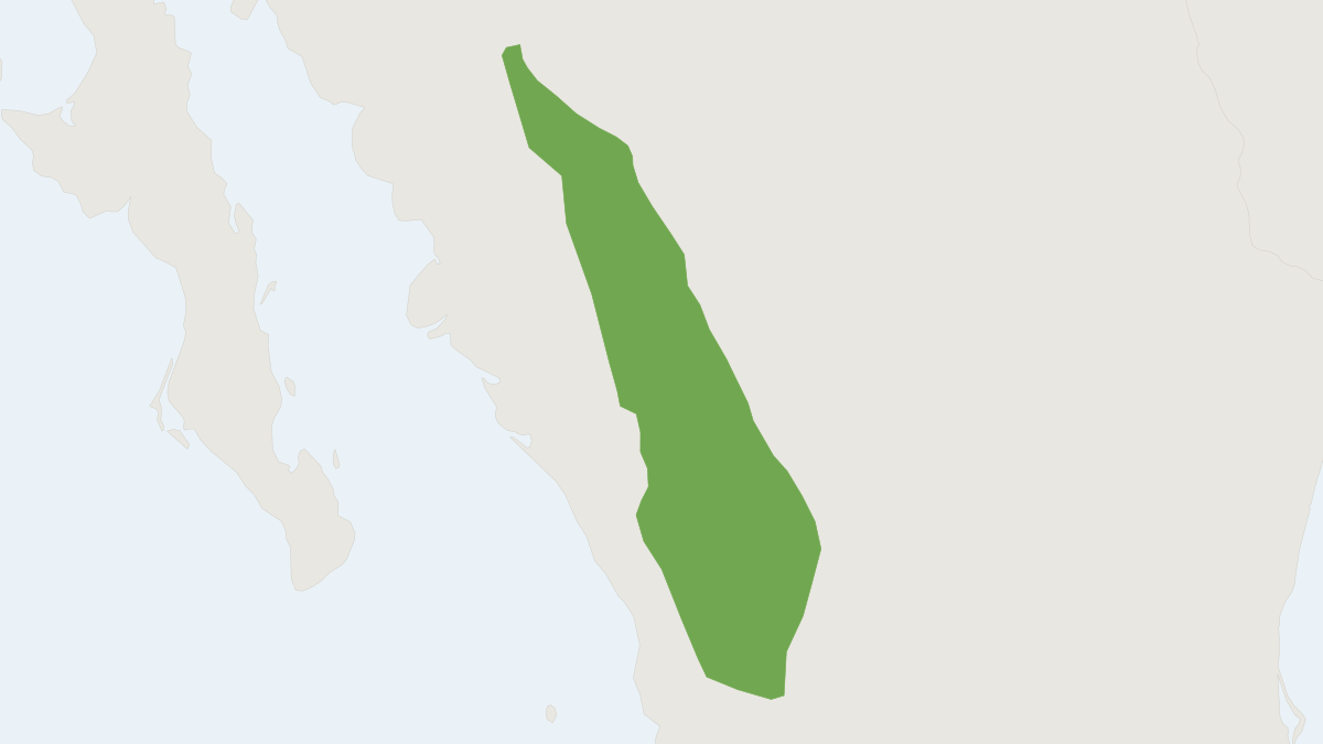 Range map of the Durango Deermouse (Peromyscus schmidlyi)