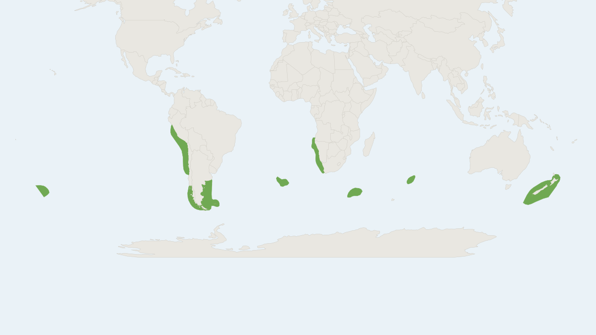 Range map of the Dusky Dolphin (Lagenorhynchus obscurus)