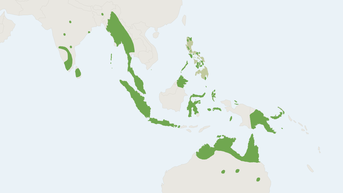 Range map of the Dusky Leaf-nosed Bat (Hipposideros ater)