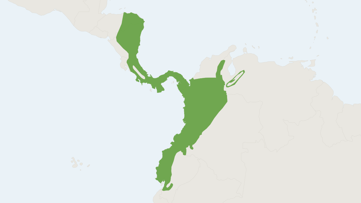 Range map of the Dusky Rice Rat (Melanomys caliginosus)
