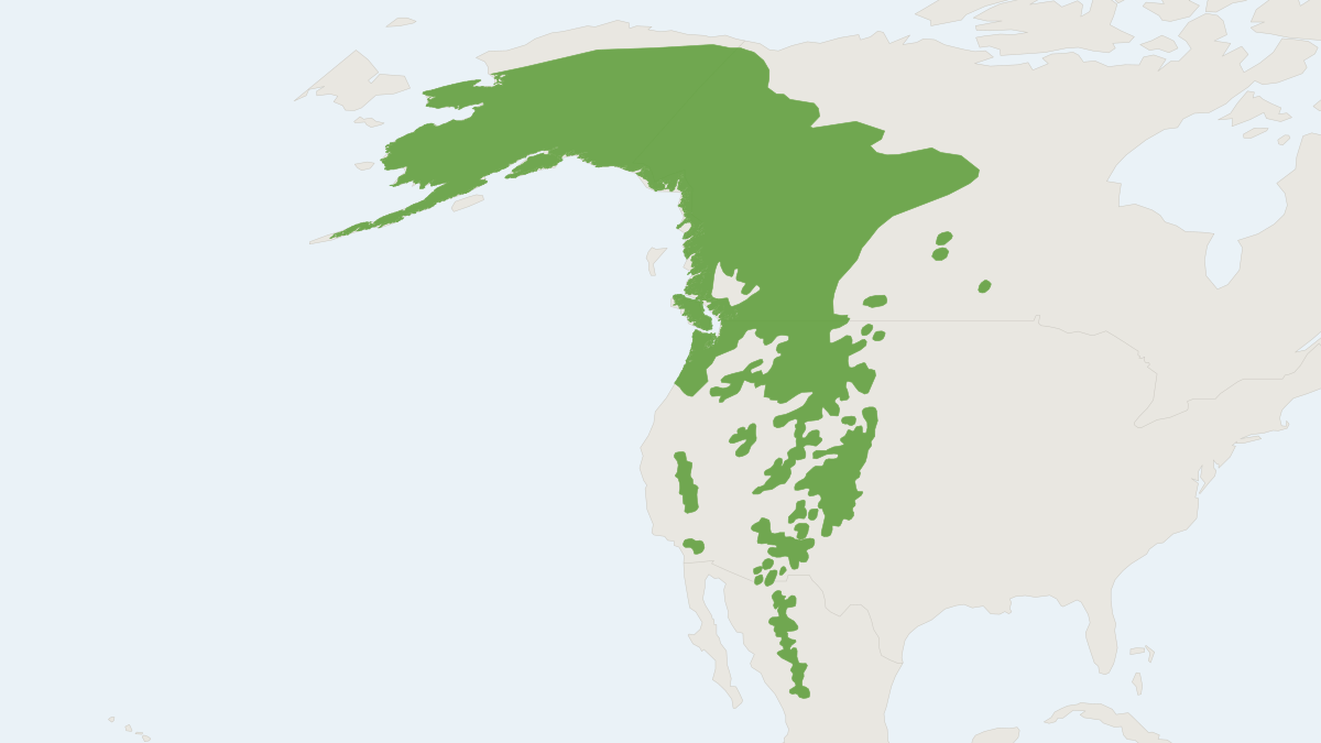 Range map of the Dusky Shrew (Sorex monticola)