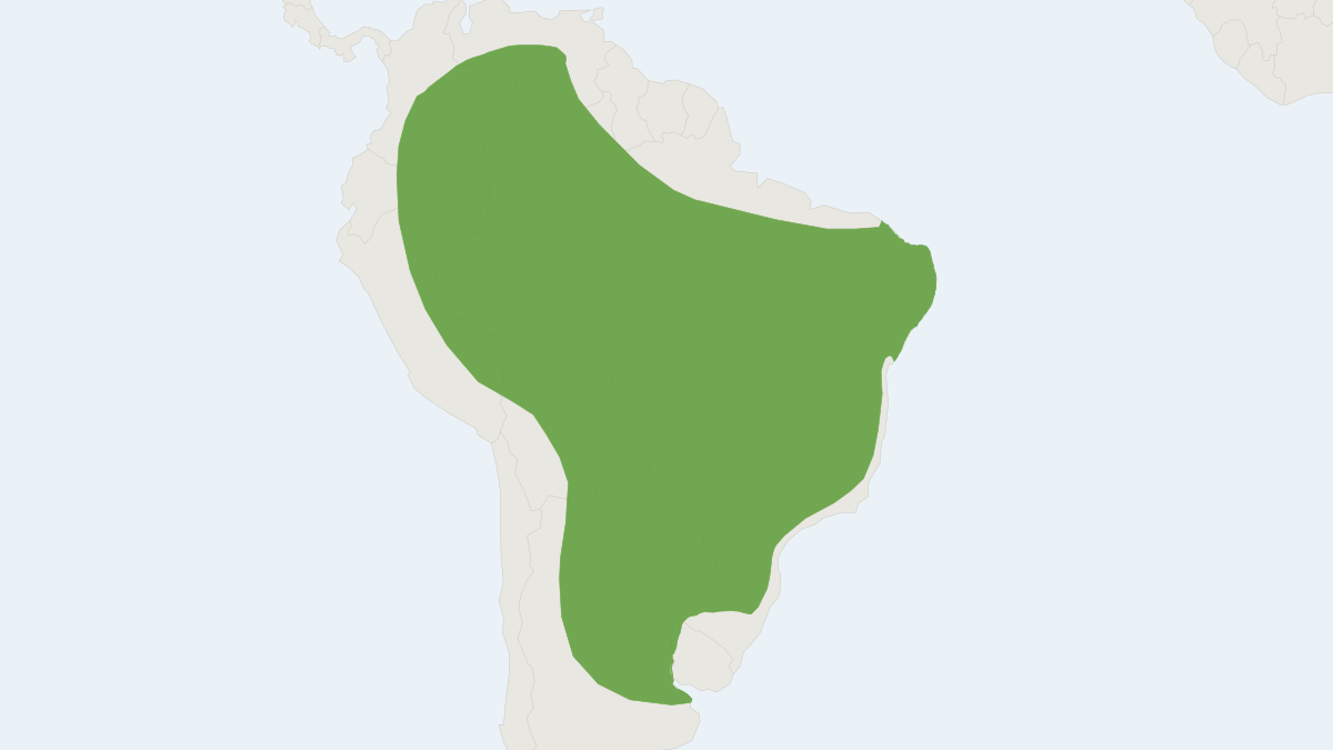 Range map of the Dwarf Dog-faced Bat (Molossops temminckii)