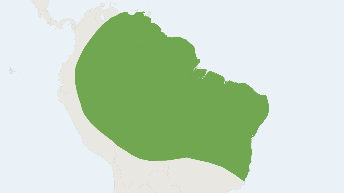 Range map of the Dwarf Fruit-eating Bat (Dermanura gnoma) covering Bolivia, Brazil and Colombia
