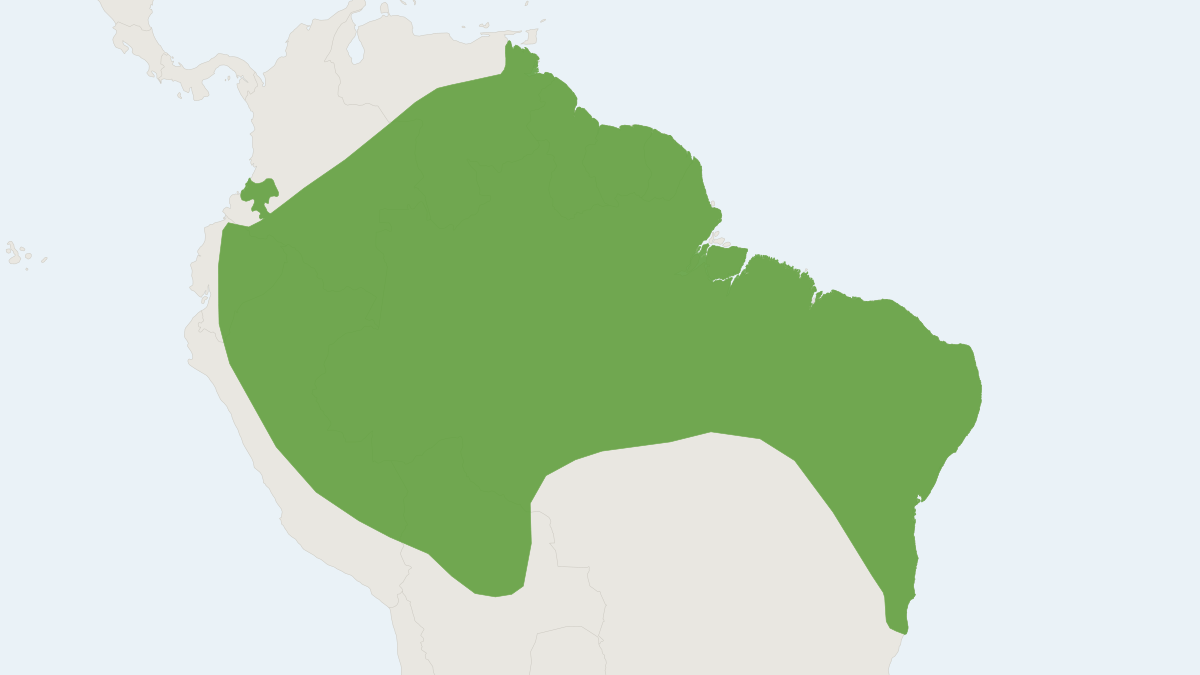 Range map of the Dwarf Little Fruit Bat (Rhinophylla pumilio)
