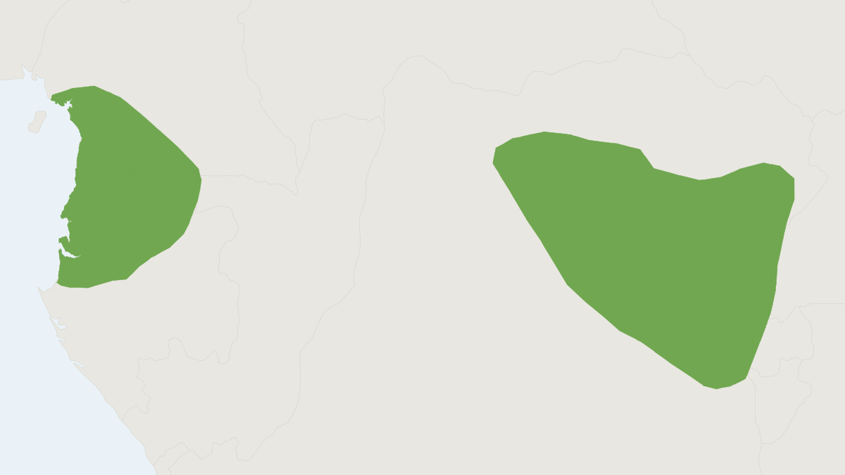 Range map of the Dwarf Scaly-tailed Squirrel (Anomalurus pusillus) covering Cameroon, Central African Republic and Democratic
