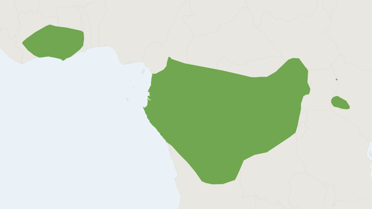Range map of the Dwarf Slit-faced Bat (Nycteris nana)