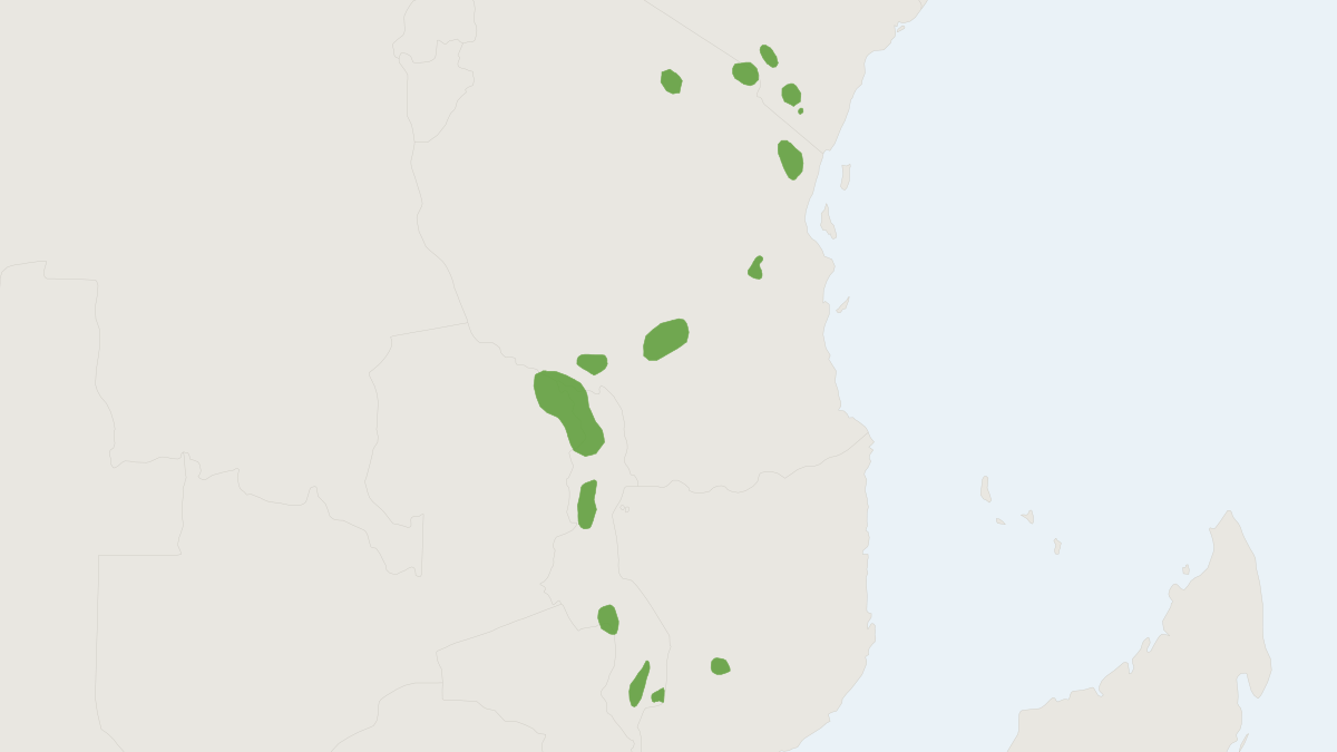 Range map of the East African Praomys (Praomys delectorum)