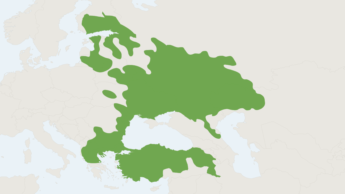 Range map of the East European Grey Vole (Microtus rossiaemeridionalis)