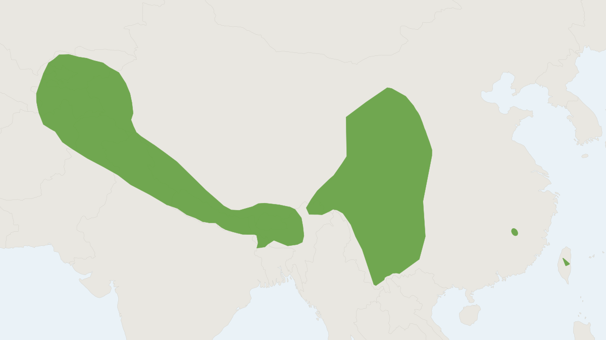 Range map of the Eastern Barbastelle (Barbastella darjelingensis)